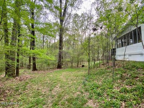 363 Mclendon Dr, Raymond, MS 39154 photo 10