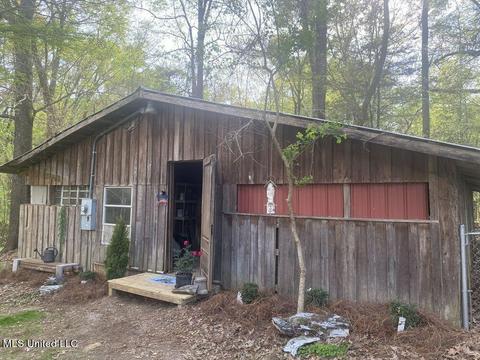 363 Mclendon Dr, Raymond, MS 39154 photo 42