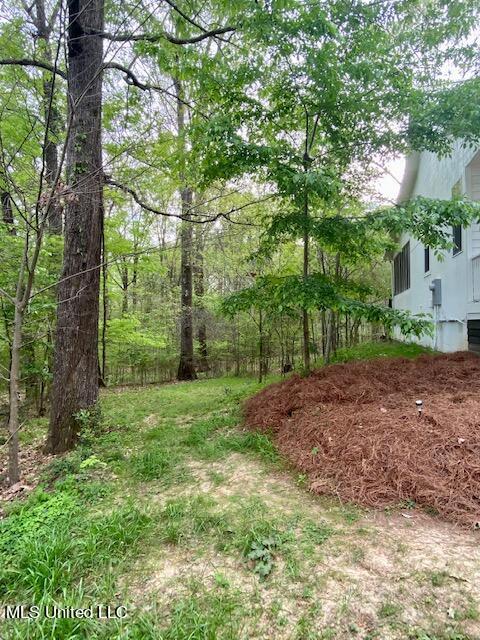363 Mclendon Dr, Raymond, MS 39154 photo 8