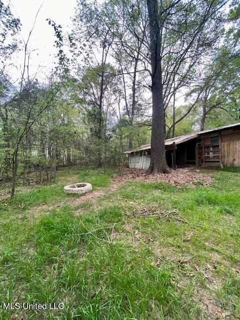 363 Mclendon Dr, Raymond, MS 39154 photo 41
