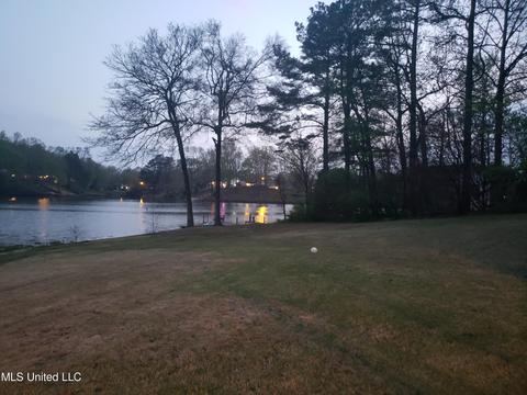 4539 Big Horn Dr N Dr, Nesbit, MS 38651 photo 2