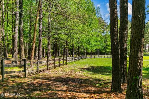 151 N Brandon Blvd, Brandon, MS 39042 photo 71