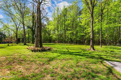 151 N Brandon Blvd, Brandon, MS 39042 photo 61