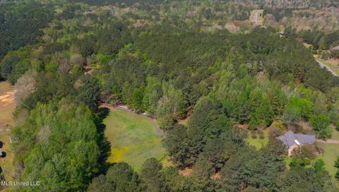 151 N Brandon Blvd, Brandon, MS 39042 photo 85