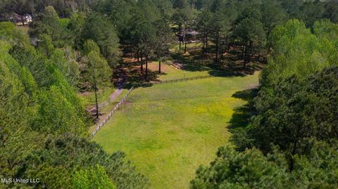 151 N Brandon Blvd, Brandon, MS 39042 photo 83