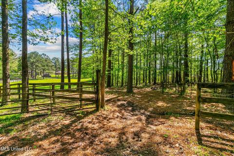 151 N Brandon Blvd, Brandon, MS 39042 photo 70