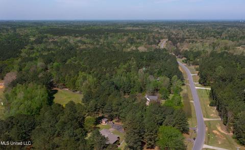 151 N Brandon Blvd, Brandon, MS 39042 photo 87