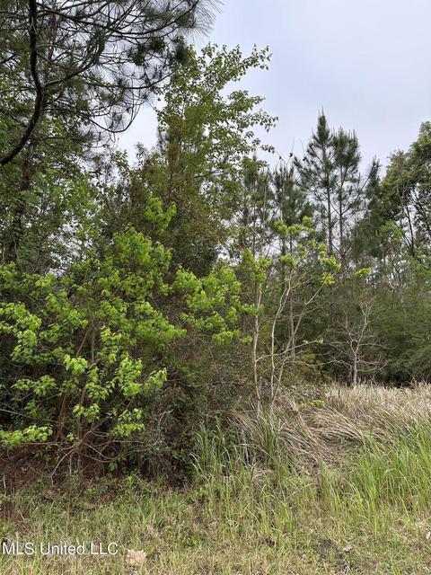 0 Carter Rd, Ocean Springs, MS 39564