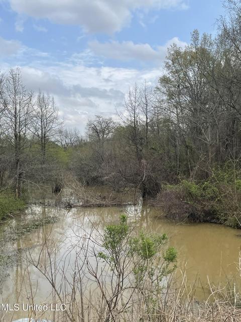 Robinson Street, Sledge, MS 38670 photo 5