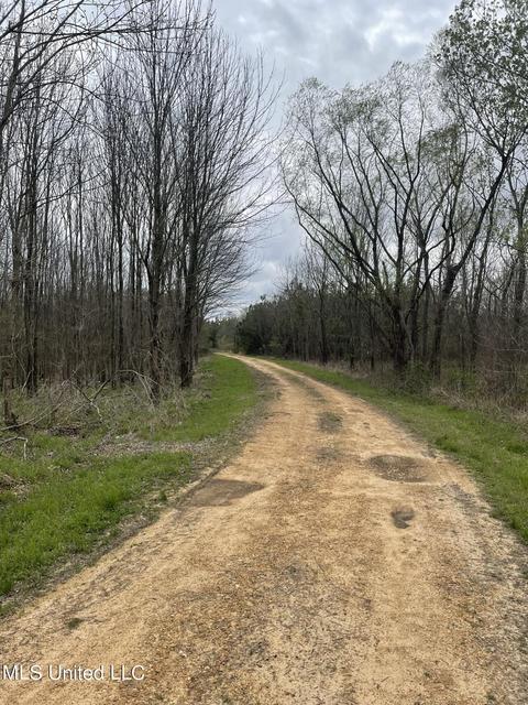 Robinson Street, Sledge, MS 38670 photo 2