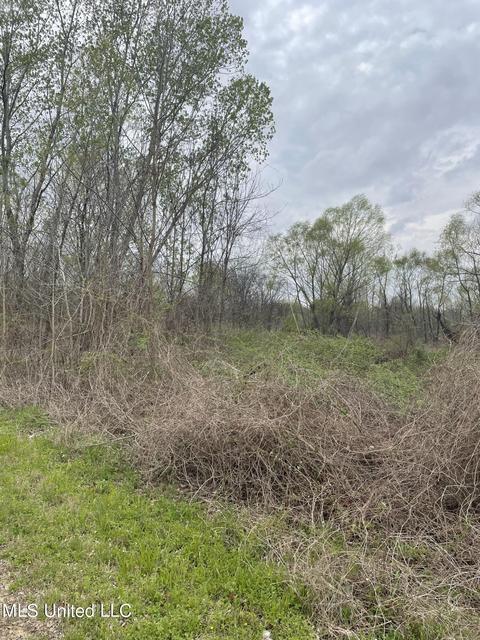 Robinson Street, Sledge, MS 38670 photo 3