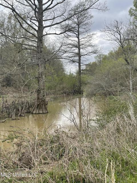 Robinson Street, Sledge, MS 38670