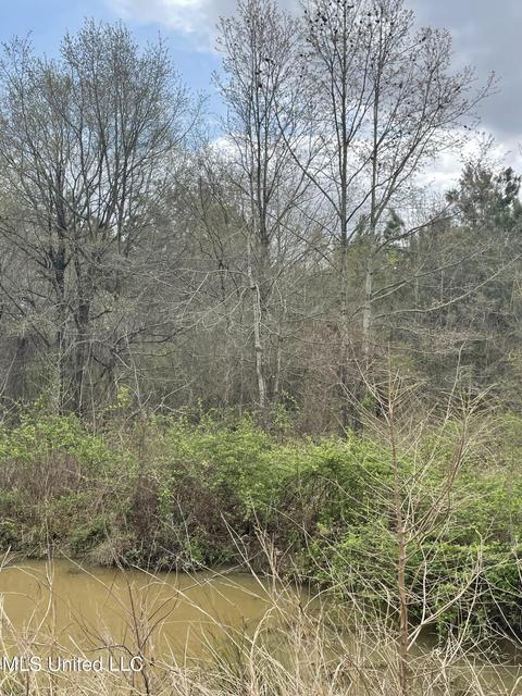 Robinson Street, Sledge, MS 38670 photo 6