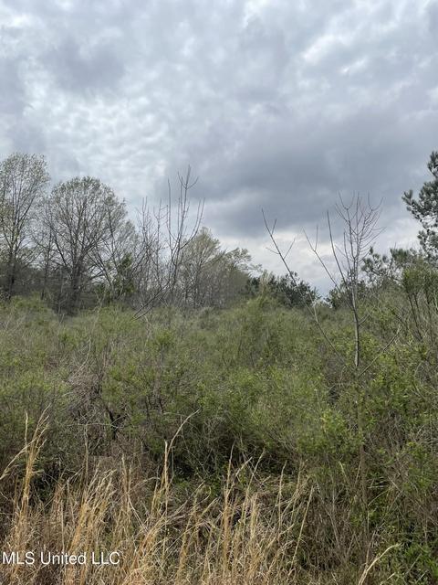 Robinson Street, Sledge, MS 38670 photo 4
