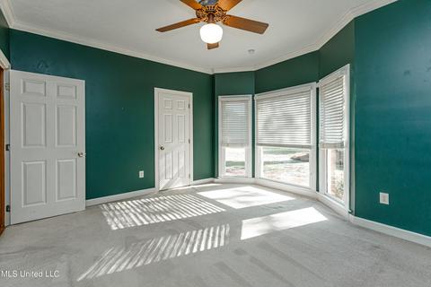 9 Deerfield Dr, Madison, MS 39110 photo 30