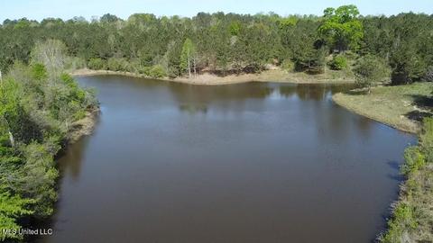74 Antler Ridge Dr, Poplarville, MS 39470