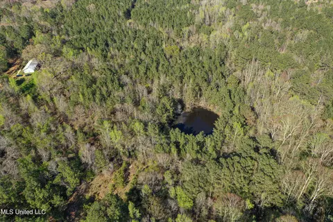 2312 Attala Road 5007, Kosciusko, MS 39090