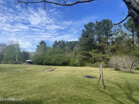 324 W Jackson Rd, Union, MS 39365 photo 9