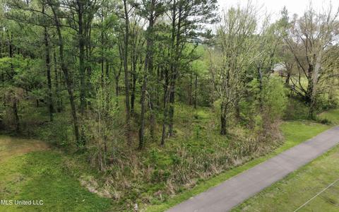 0 Reynolds Rd, Clinton, MS 39056