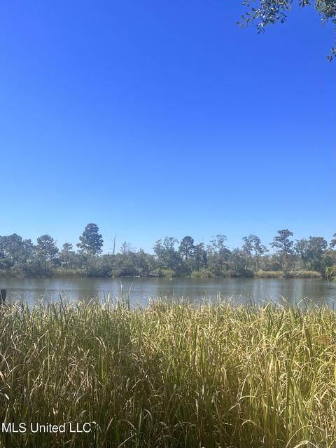 Cochran Avenue, Moss Point, MS 39562 photo 3