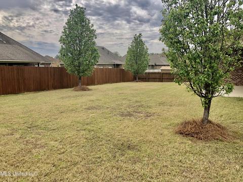 516 Belle Oak Pl, Brandon, MS 39042 photo 33