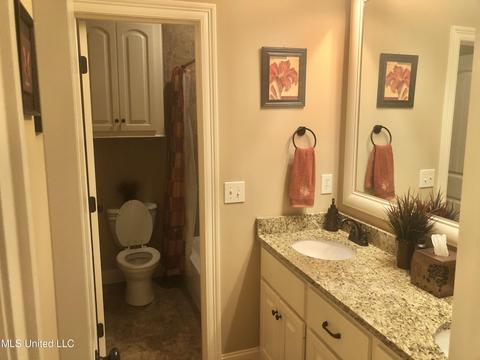 516 Belle Oak Pl, Brandon, MS 39042 photo 28
