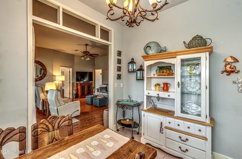 360 S Place Dr, Madison, MS 39110 photo 18