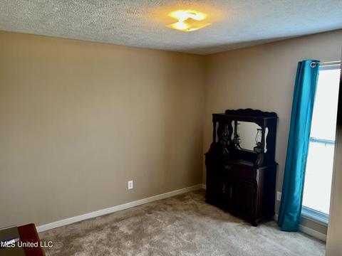 7261 Tumbleweed Dr, Byram, MS 39272 photo 18