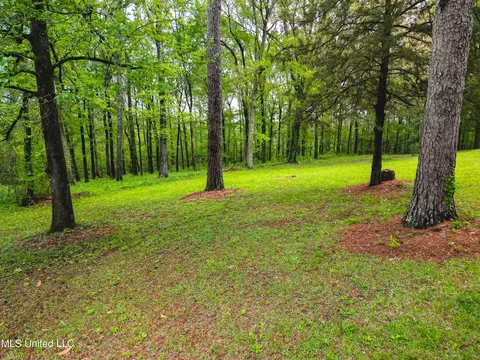 3160 Benson Dr, Jackson, MS 39212 photo 26