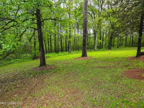 3160 Benson Dr, Jackson, MS 39212 photo 25