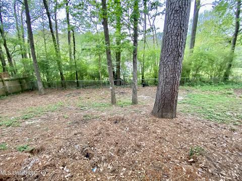 523 Greenmont Dr, Jackson, MS 39212 photo 21