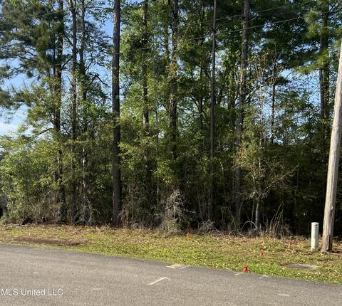 Lilinoe Place Place, Diamondhead, MS 39525
