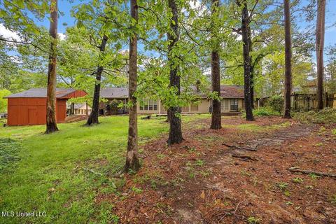 60 Terrapin Pl, Brandon, MS 39042 photo 19