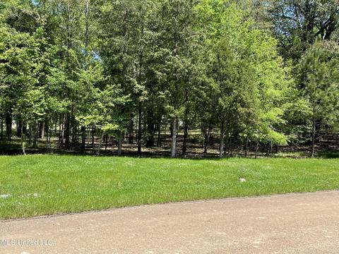 Green Trace Cove, Ridgeland, MS 39157
