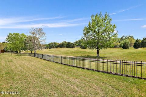 130 Burne Run, Madison, MS 39110 photo 31