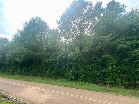 0 Stump Bridge Rd, Canton, MS 39046 photo 3