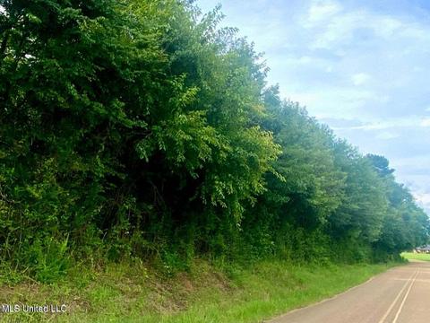 0 Stump Bridge Rd, Canton, MS 39046 photo 2