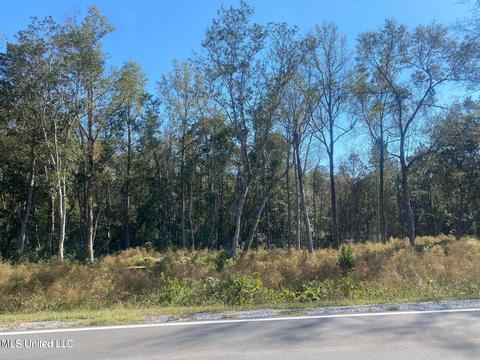23338 Hwy 49, Saucier, MS 39574 photo 5