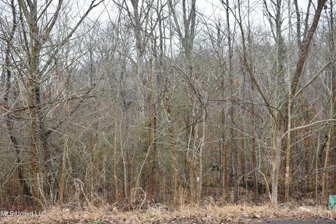 102 Ridgewood Cv, Coldwater, MS 38618