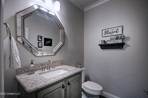 713 Prosperity Xing, Flowood, MS 39232 photo 19