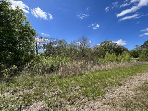 278 Measels Rd, Morton, MS 39117 photo 3