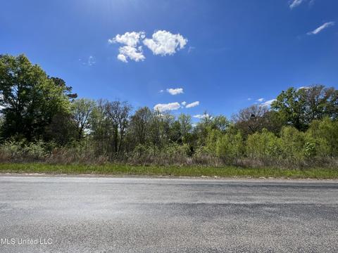 278 Measels Rd, Morton, MS 39117 photo 1