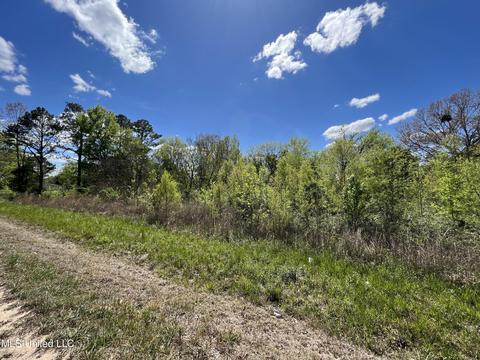 278 Measels Rd, Morton, MS 39117 photo 2