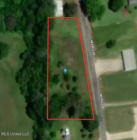 278 Measels Rd, Morton, MS 39117 photo 4