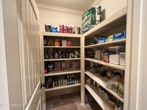 145 Grayhawk Dr, Madison, MS 39110 photo 25