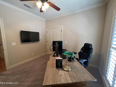 145 Grayhawk Dr, Madison, MS 39110 photo 36