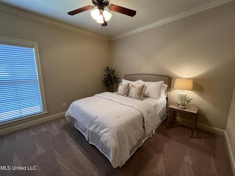 145 Grayhawk Dr, Madison, MS 39110 photo 39