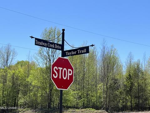 9171 S Treadway Creek Dr, Hernando, MS 38632 photo 5
