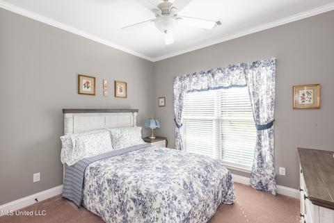 783 Saddle Creek Cv, Hernando, MS 38632 photo 18