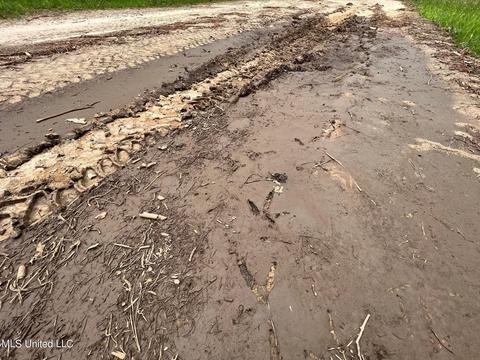Highway 503, Hickory, MS 39332 photo 6